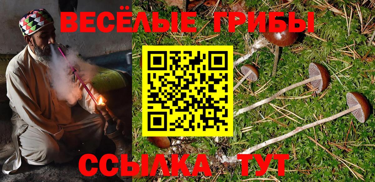 Екатеринбург  Галлюциногенные грибы MAGIC MUSHROOMS  Вход с VPN 